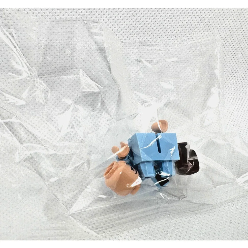 76390 Advent Calendar 2021, Harry Potter (Day 6) - Dudley Dursley 1 Minifigure